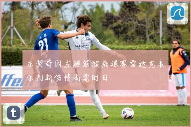 东契奇因左腿筋酸痛退赛雷迪克表示判断伤情尚需时日